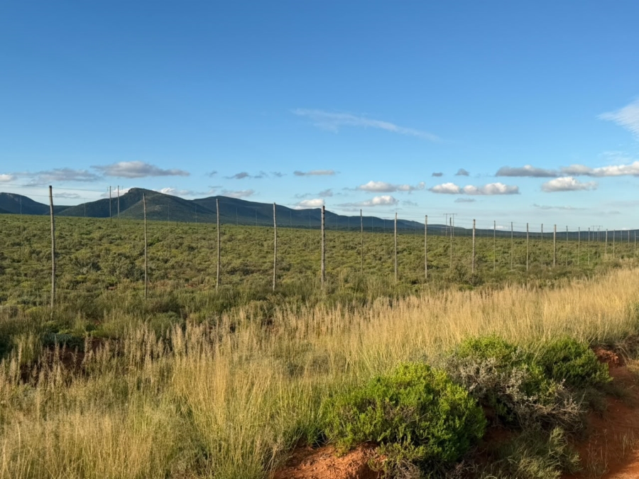 0 Bedroom Property for Sale in Steytlerville Eastern Cape